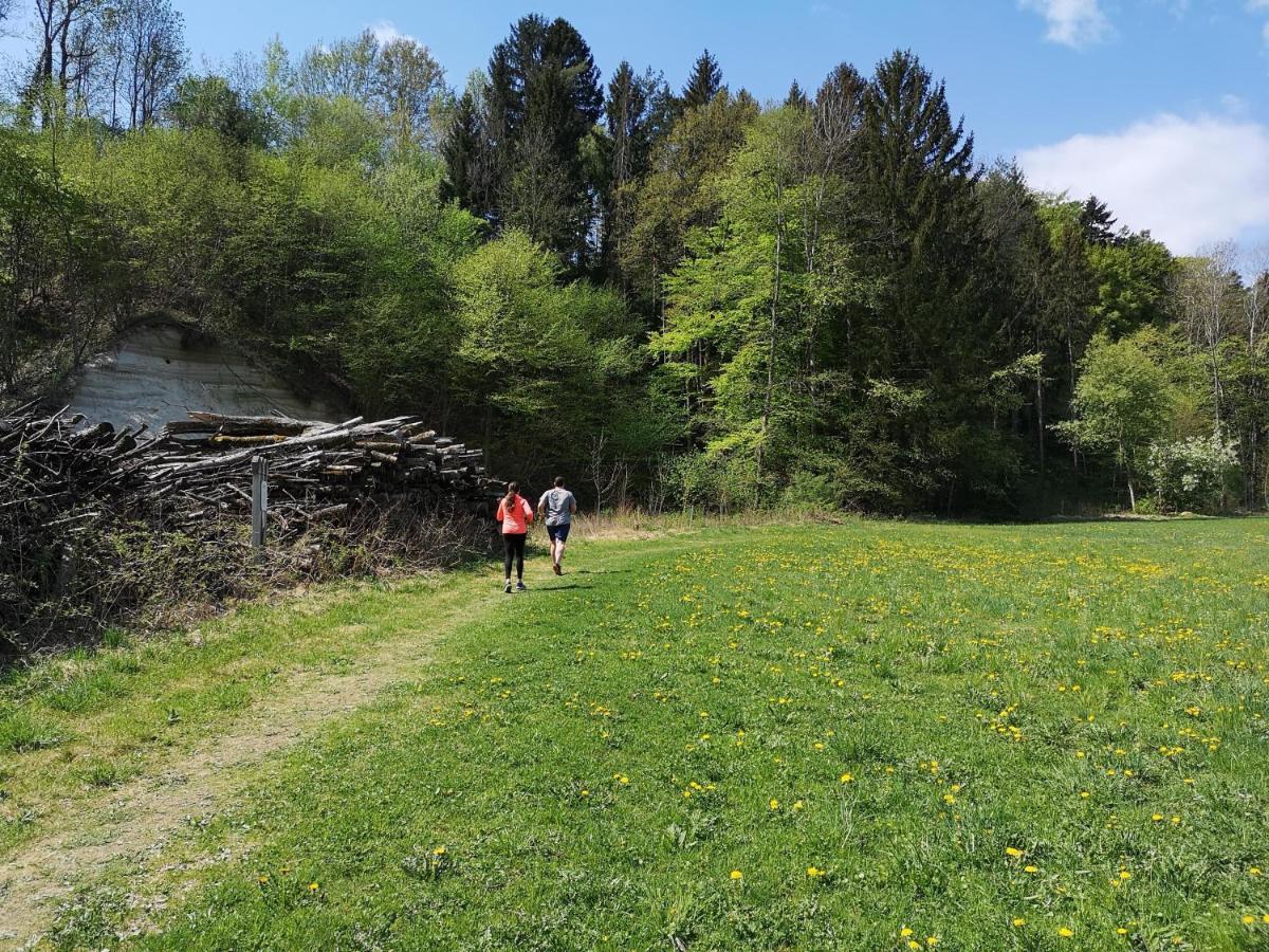 Wohlfuehl Hotel Wiesenhof Grafendorf bei Hartberg Dış mekan fotoğraf